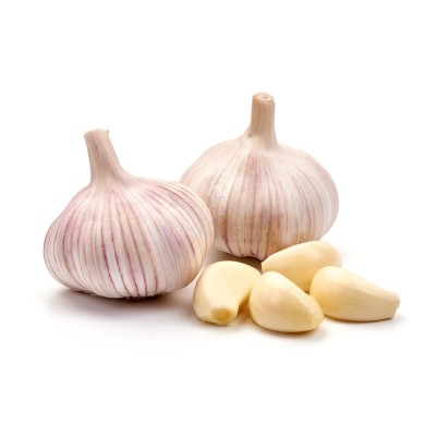 Чеснок крупный 1 кг - купить в Моксохе