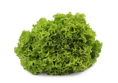 Салат айсберг 300 г - купить в Моксохе