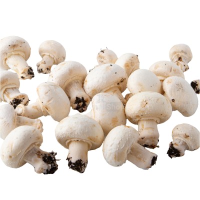 Шампиньоны свежие 500 г - купить в Моксохе